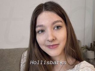 Hollisbarks