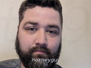 Horneyguy