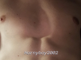 Hornyboy2002
