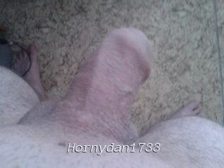 Hornydan1733