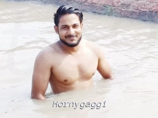 Hornygaggi