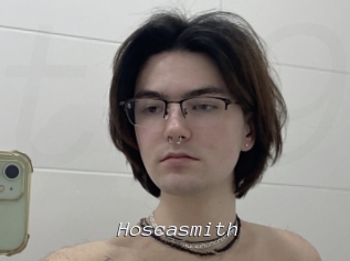 Hoscasmith