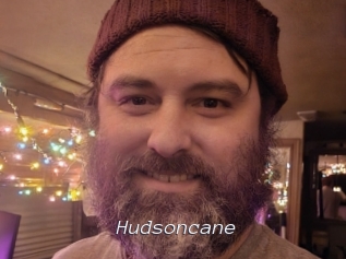Hudsoncane