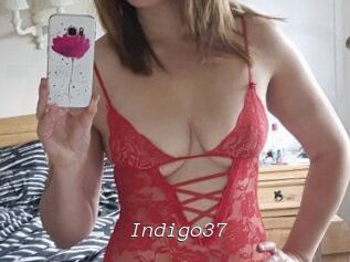 Indigo37