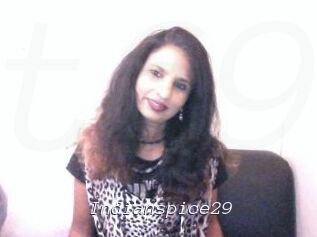 Indianspice29