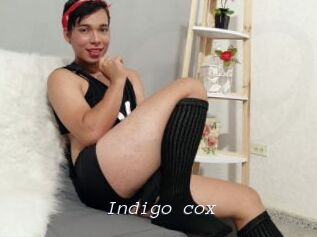 Indigo_cox