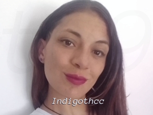 Indigothcc