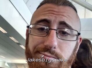 Jakesbigsnake