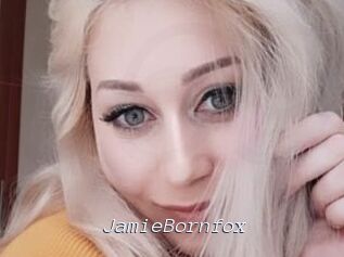 JamieBornfox