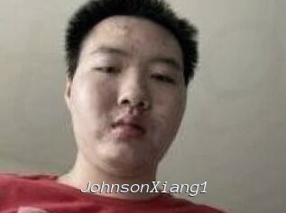 JohnsonXiang1 Tel 69 Salopes