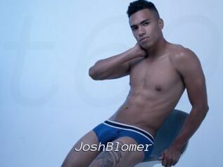 JoshBlomer
