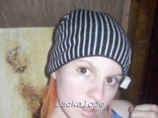 Jackalope
