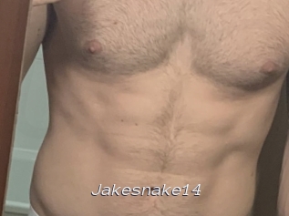 Jakesnake14