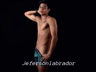 Jefersonlabrador