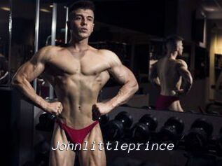 Johnlittleprince