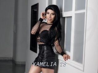 KAMELIA_TS