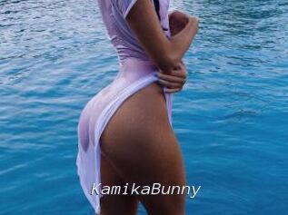 KamikaBunny