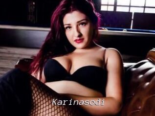 Karinasodi