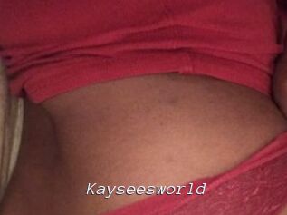 Kayseesworld