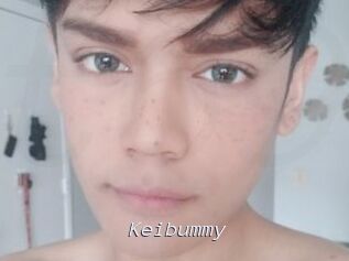 Keibummy
