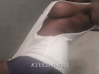 Kitt_The_Katt