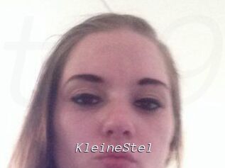 KleineStel