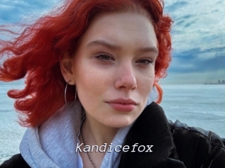 Kandicefox