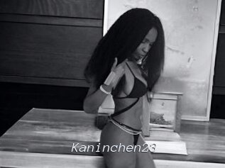 Kaninchen23