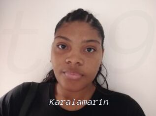 Karalamarin