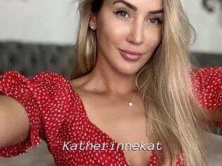 Katherinnekat