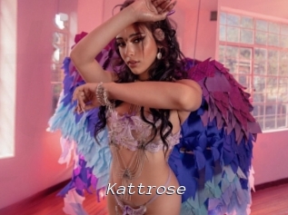 Kattrose