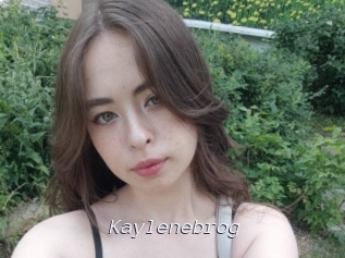 Kaylenebrog
