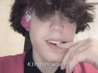 Kingsnowbunny