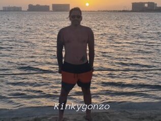 Kinkygonzo