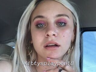 Kittysplaypen18