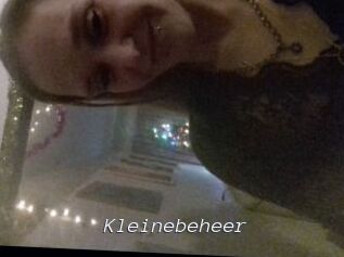 Kleinebeheer