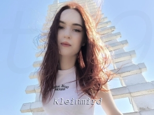 Kleinmird