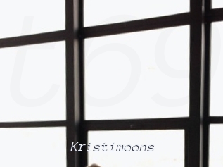 Kristimoons