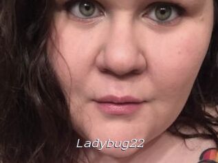 Ladybug22