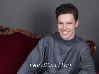 LevyStallion