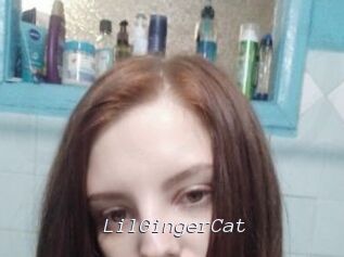 LilGingerCat
