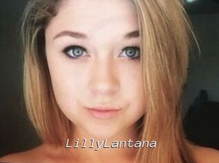 LillyLantana