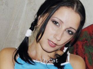 Lily_Cat_