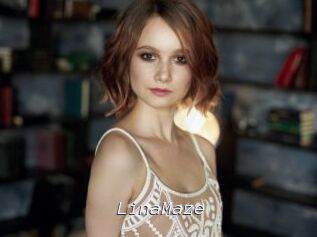 LinaMaze