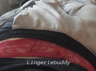 Lingeriebuddy
