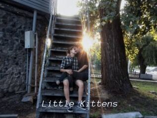 Little_Kittens