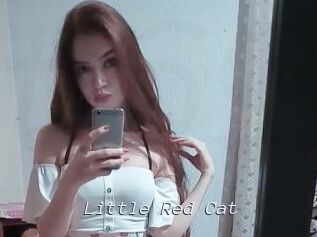 Little_Red_Cat