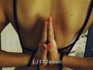 Littlesub
