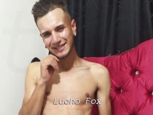 Lucho_Fox