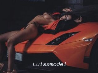 Luisamodel